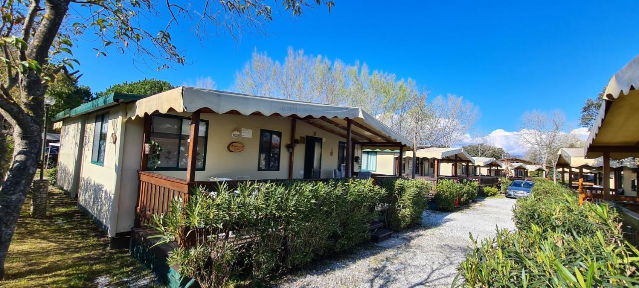 Chalet La Dolce Vita Viareggio Bagian luar foto